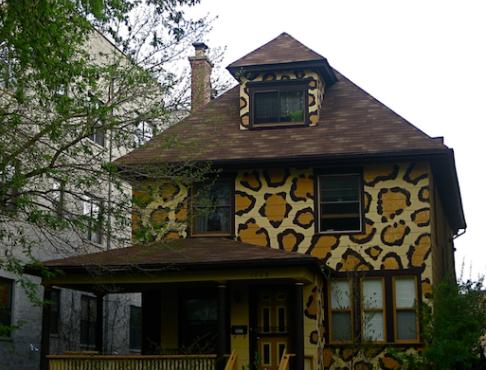 House with cheetah print exterior.