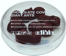 chocolate covered ants